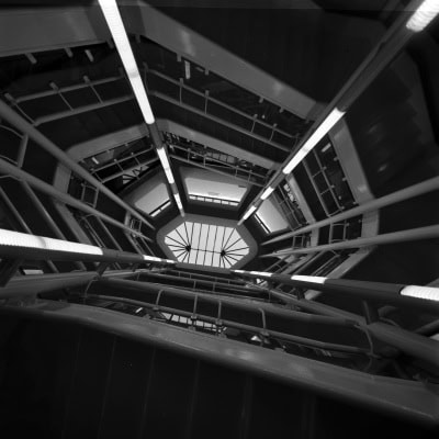 acla_hoj_civic_011