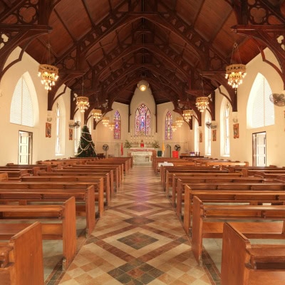 acla_stpatricks_civic_002